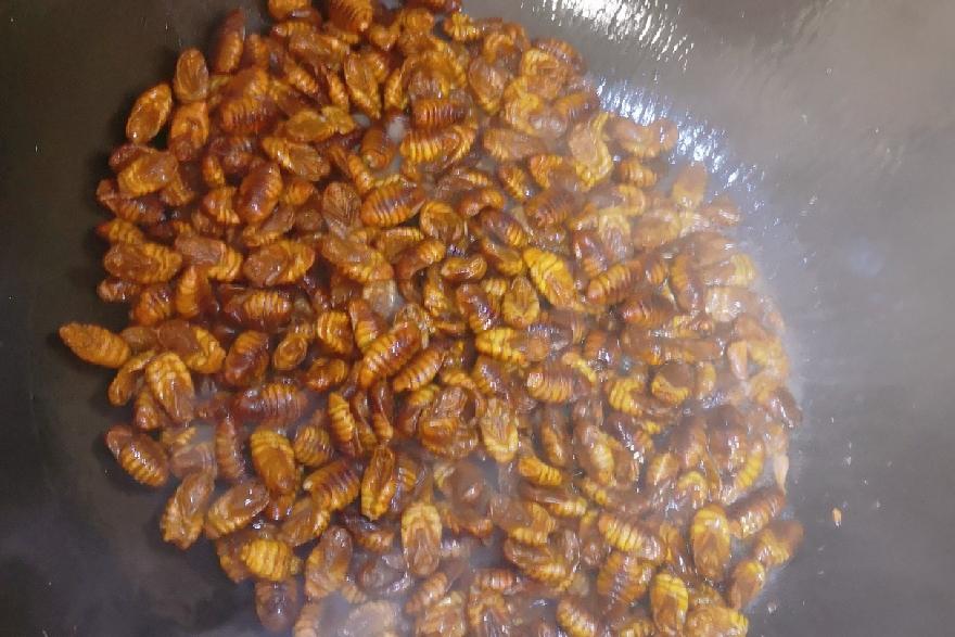 炒蠶蛹的做法-家常味炒菜譜