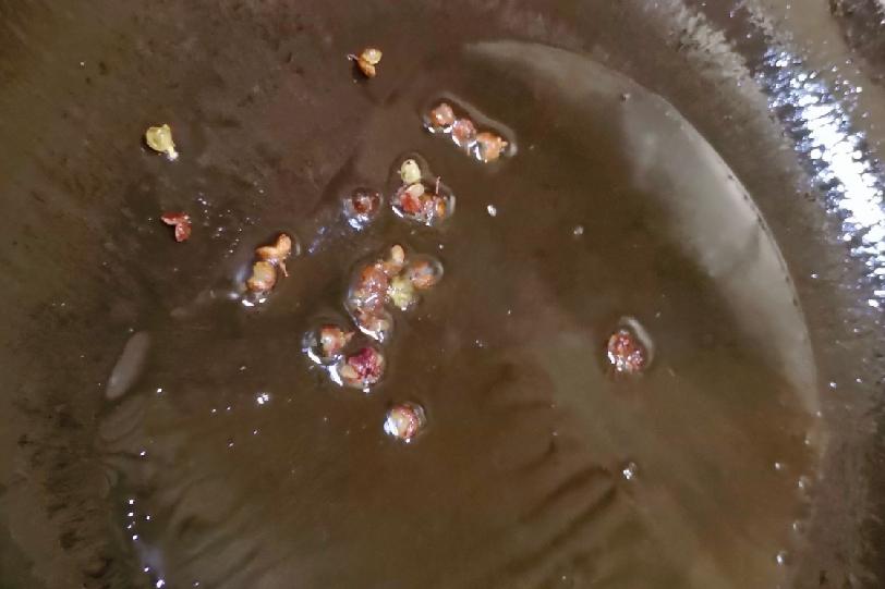 炒蠶蛹的做法-家常味炒菜譜