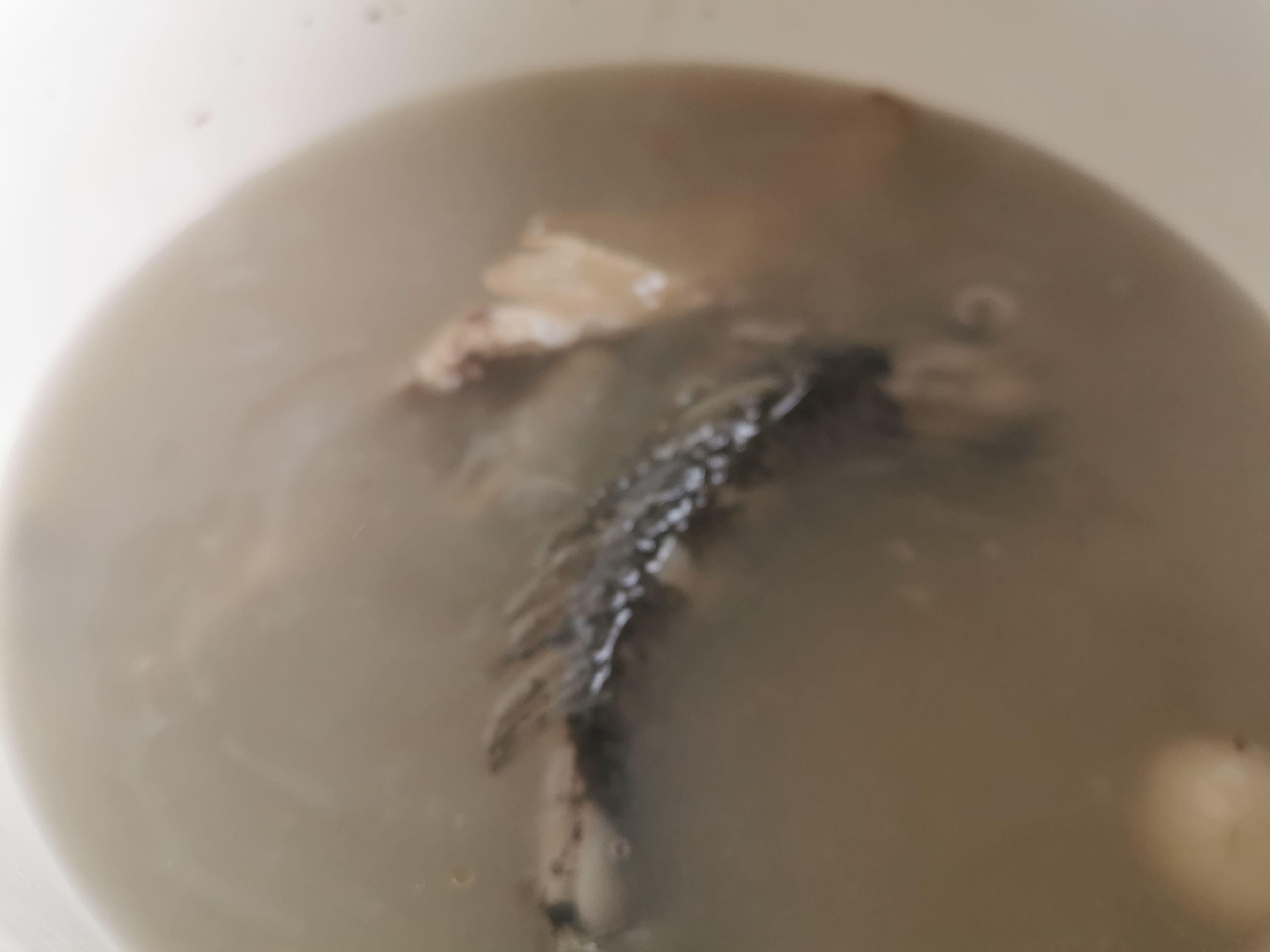 鯽魚豆腐湯的做法-家常味燉菜譜