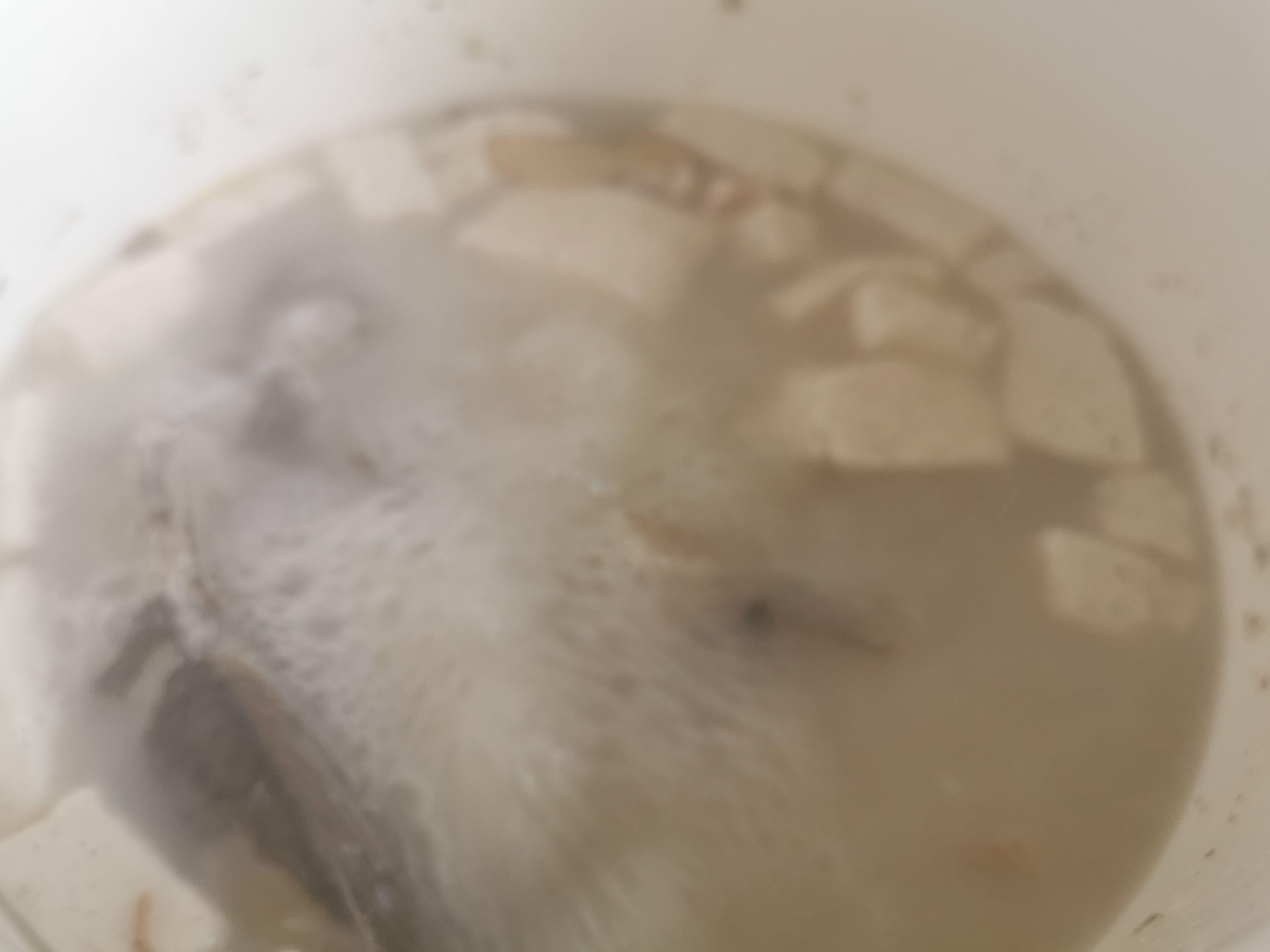 鯽魚豆腐湯的做法-家常味燉菜譜