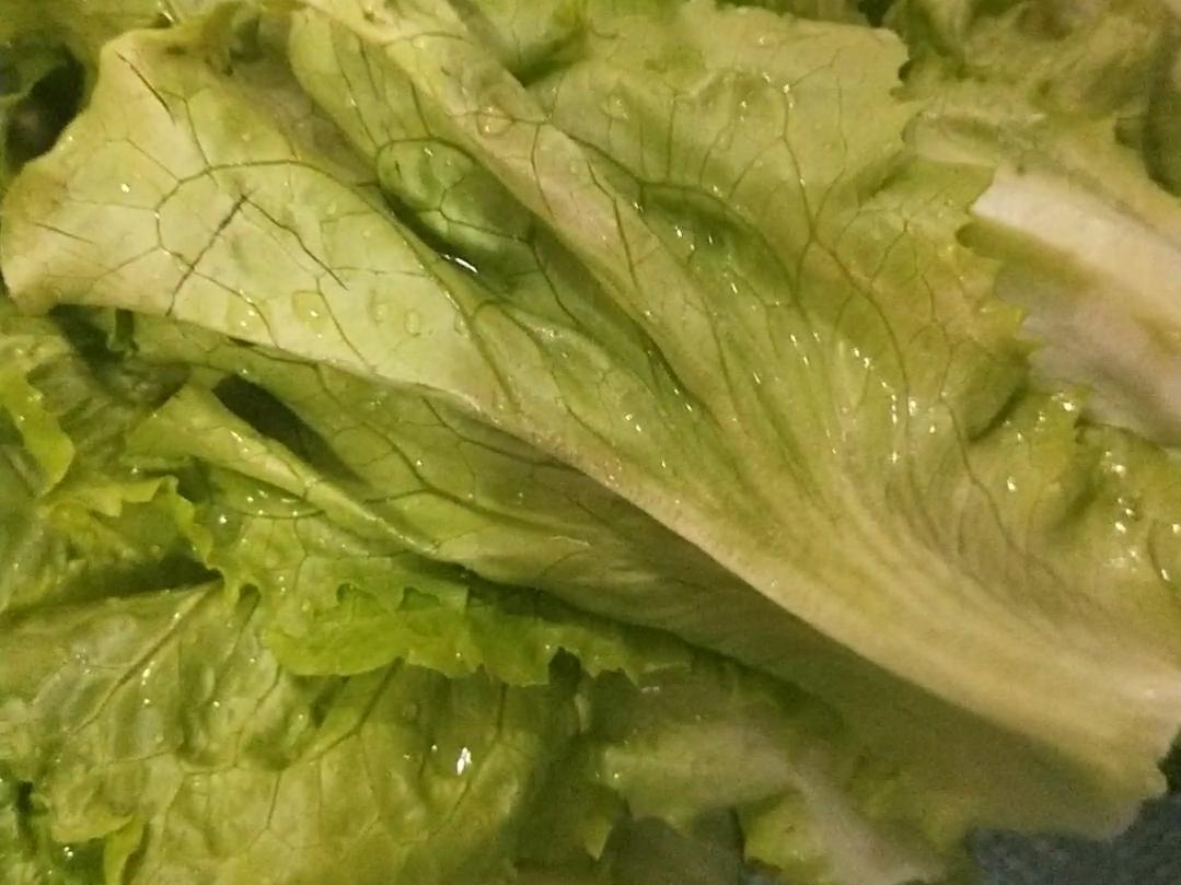 蒜香蠔油生菜的做法-咸鮮味煮菜譜