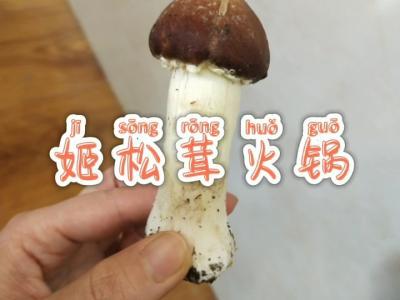 姬松茸火鍋的做法-咸鮮味煮菜譜
