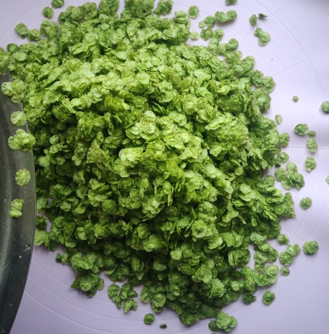 陽春三月的美食~蒸榆錢的做法-家常味蒸菜譜