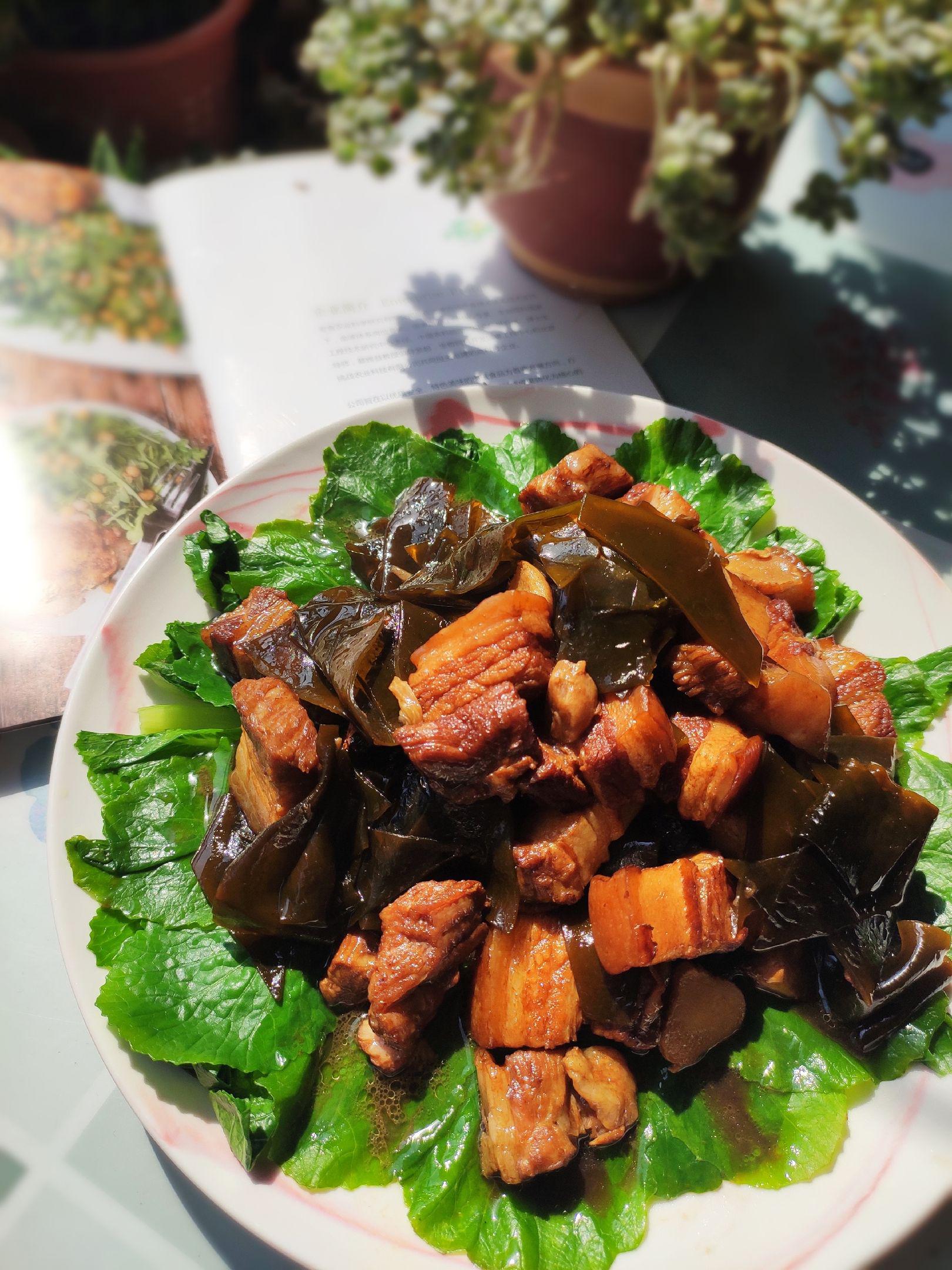 紅燒肉燉海帶的做法-咸鮮味燉菜譜-易網健康養生網 紅燒肉燉海帶的做法-咸鮮味燉菜譜