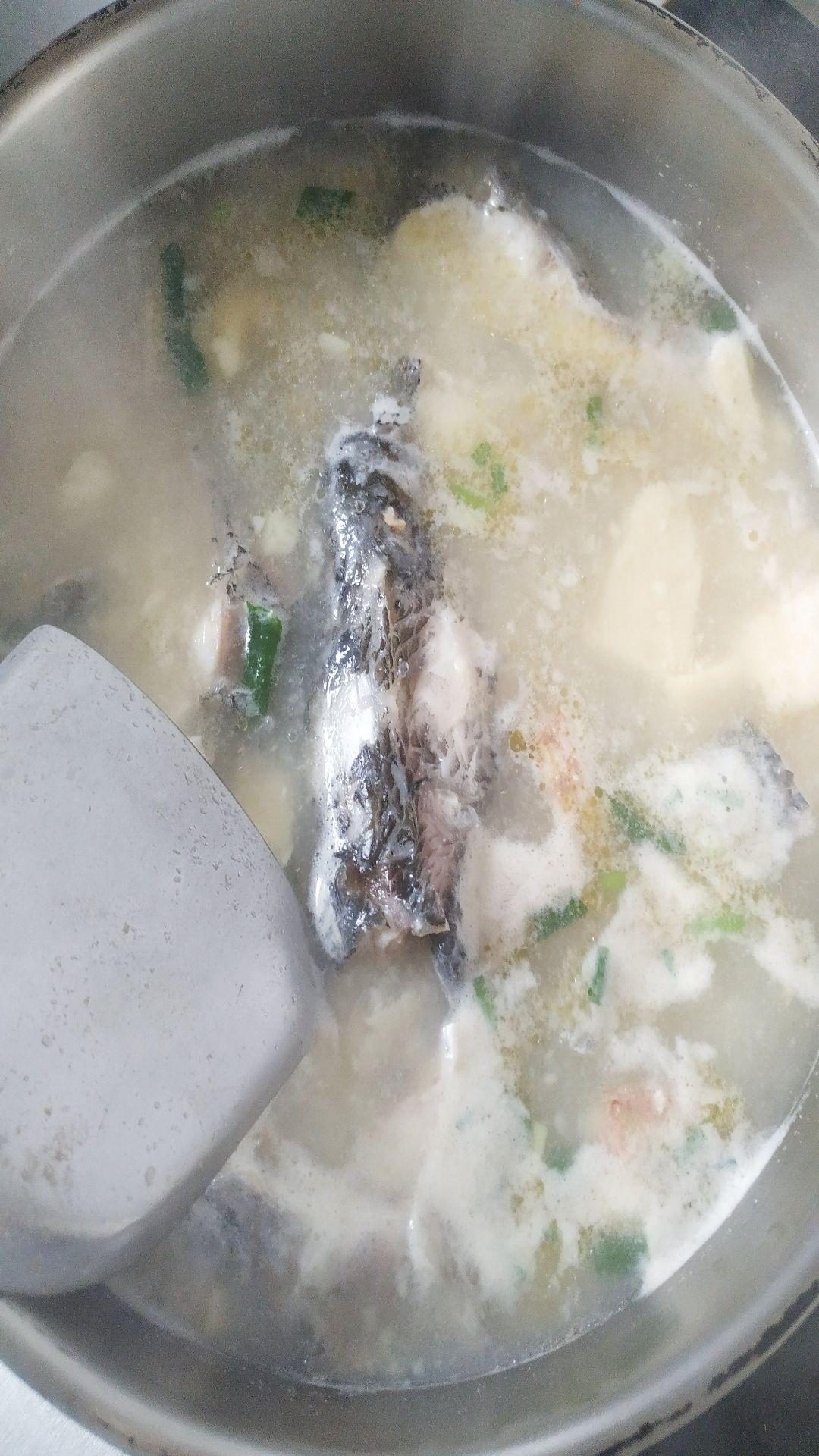 鷹嘴豆腐燉黑魚的做法-咸鮮味燉菜譜-易網健康養生網 鷹嘴豆腐燉黑魚的做法-咸鮮味燉菜譜