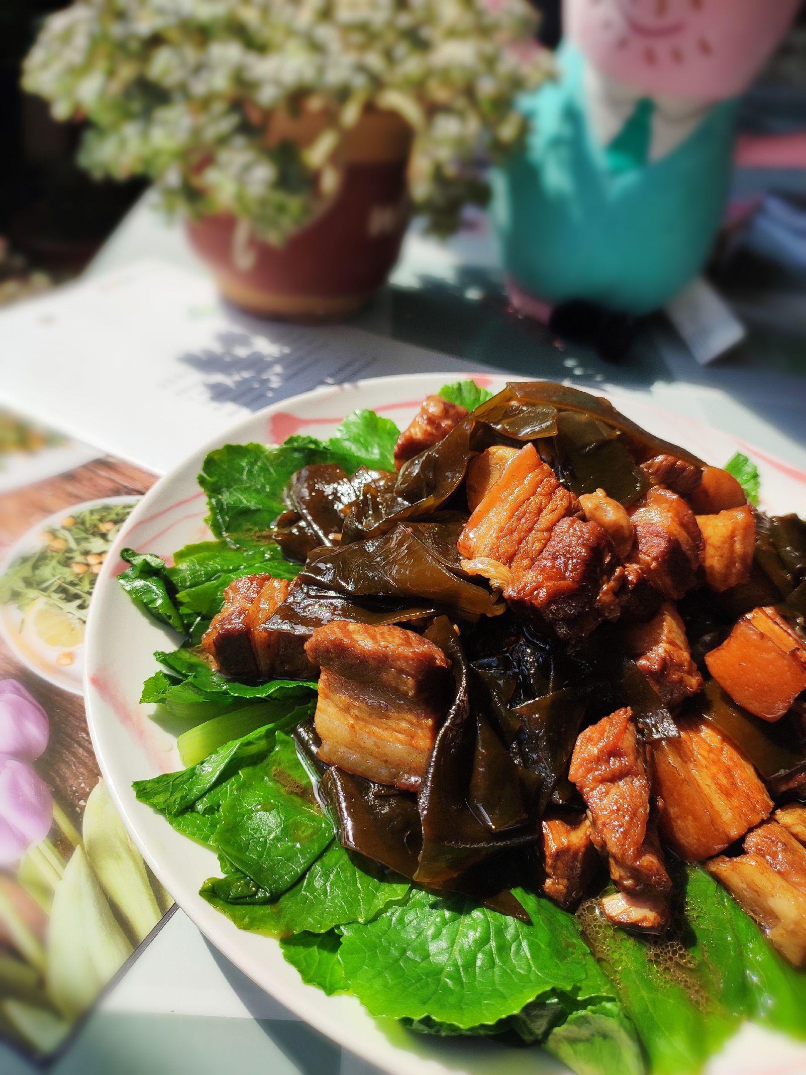 紅燒肉燉海帶的做法-咸鮮味燉菜譜-易網健康養生網 紅燒肉燉海帶的做法-咸鮮味燉菜譜