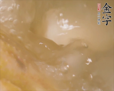 火腿山藥燉鴿子的做法-家常味燉菜譜