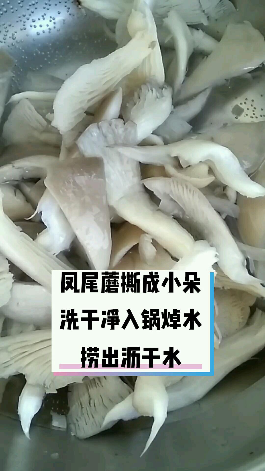 鳳尾蘑炒白菜的做法-家常味炒菜譜-易網健康養生網 鳳尾蘑炒白菜的做法-家常味炒菜譜