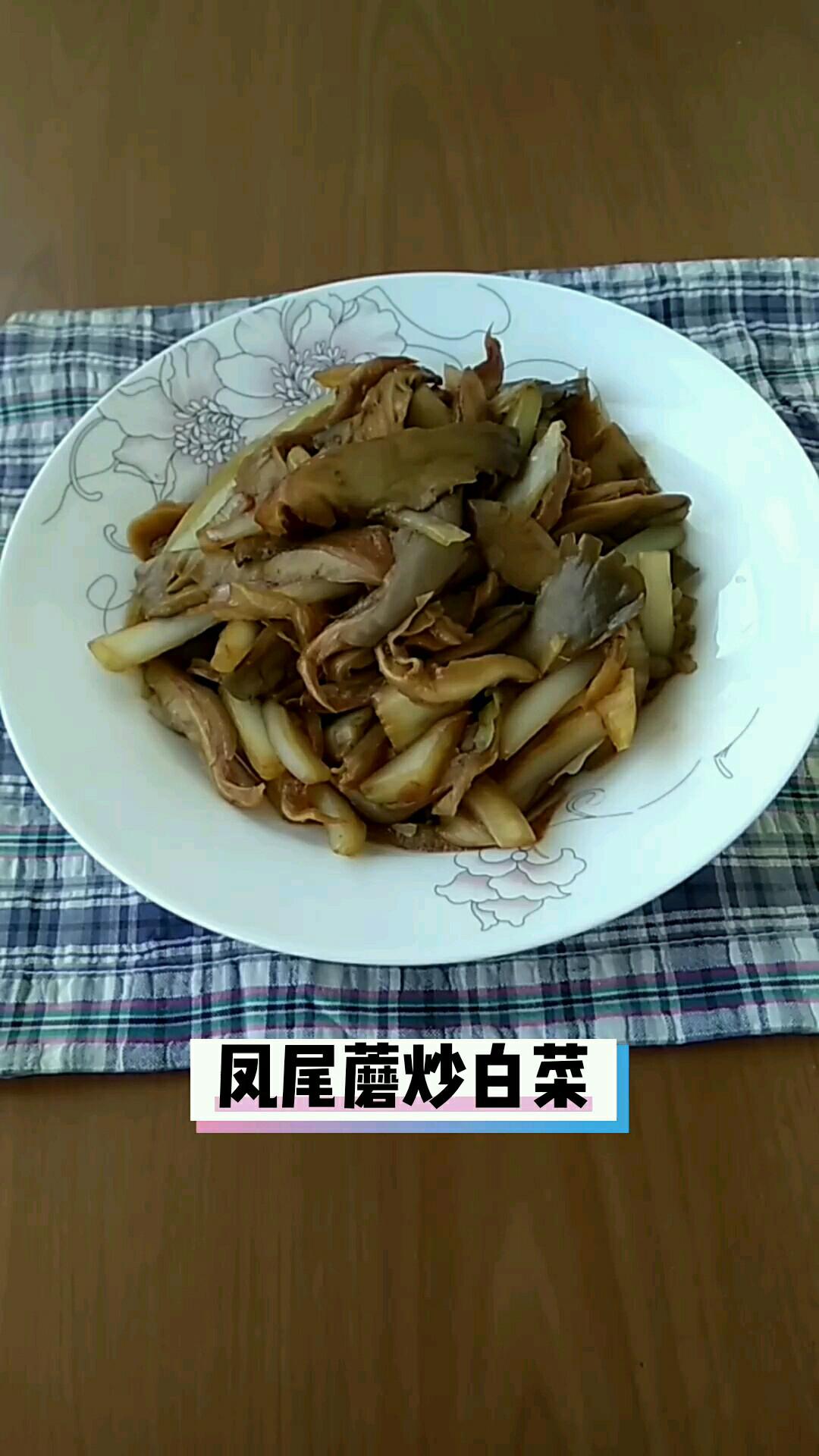 鳳尾蘑炒白菜的做法-家常味炒菜譜-易網健康養生網 鳳尾蘑炒白菜的做法-家常味炒菜譜
