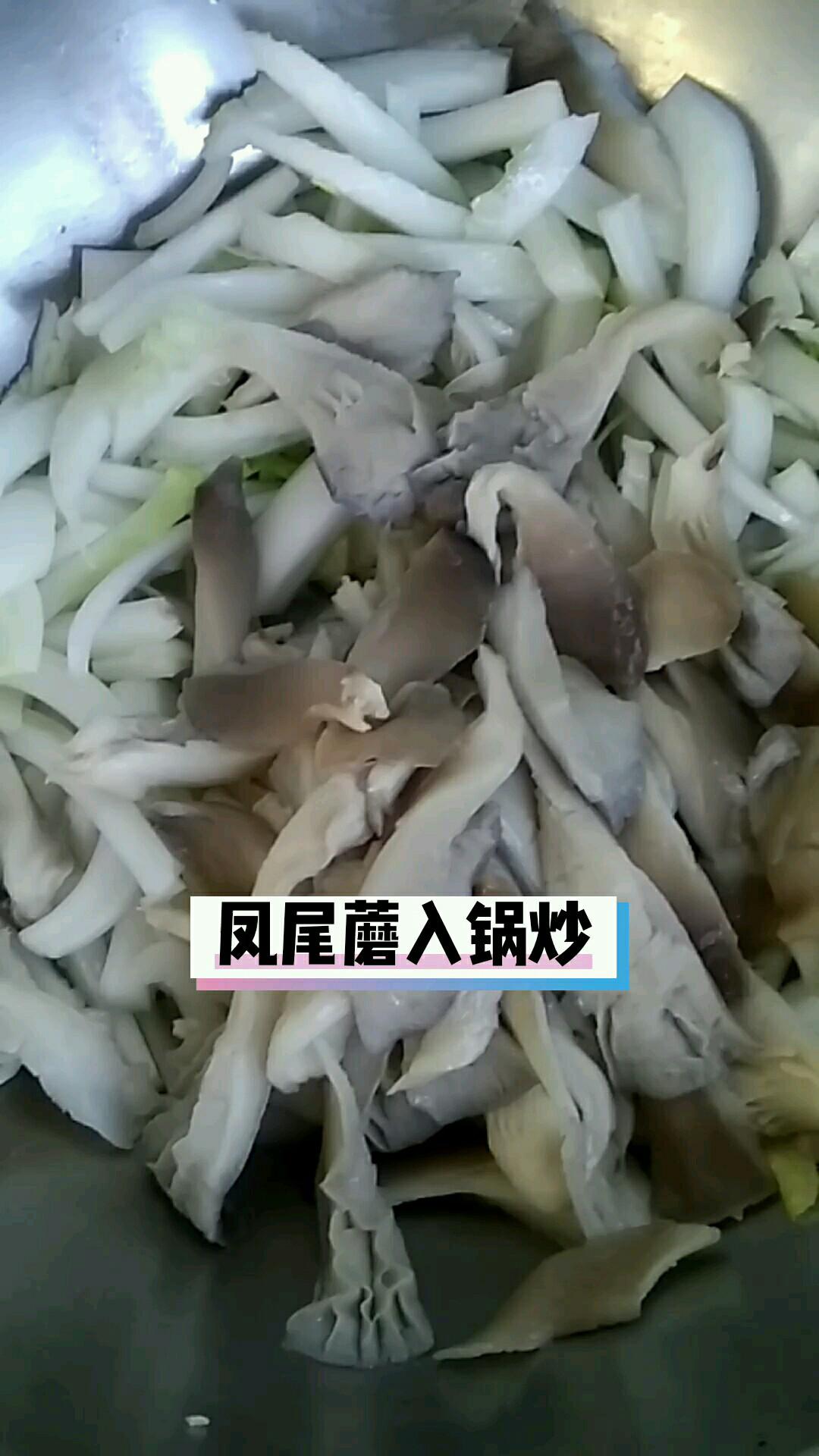 鳳尾蘑炒白菜的做法-家常味炒菜譜-易網健康養生網 鳳尾蘑炒白菜的做法-家常味炒菜譜