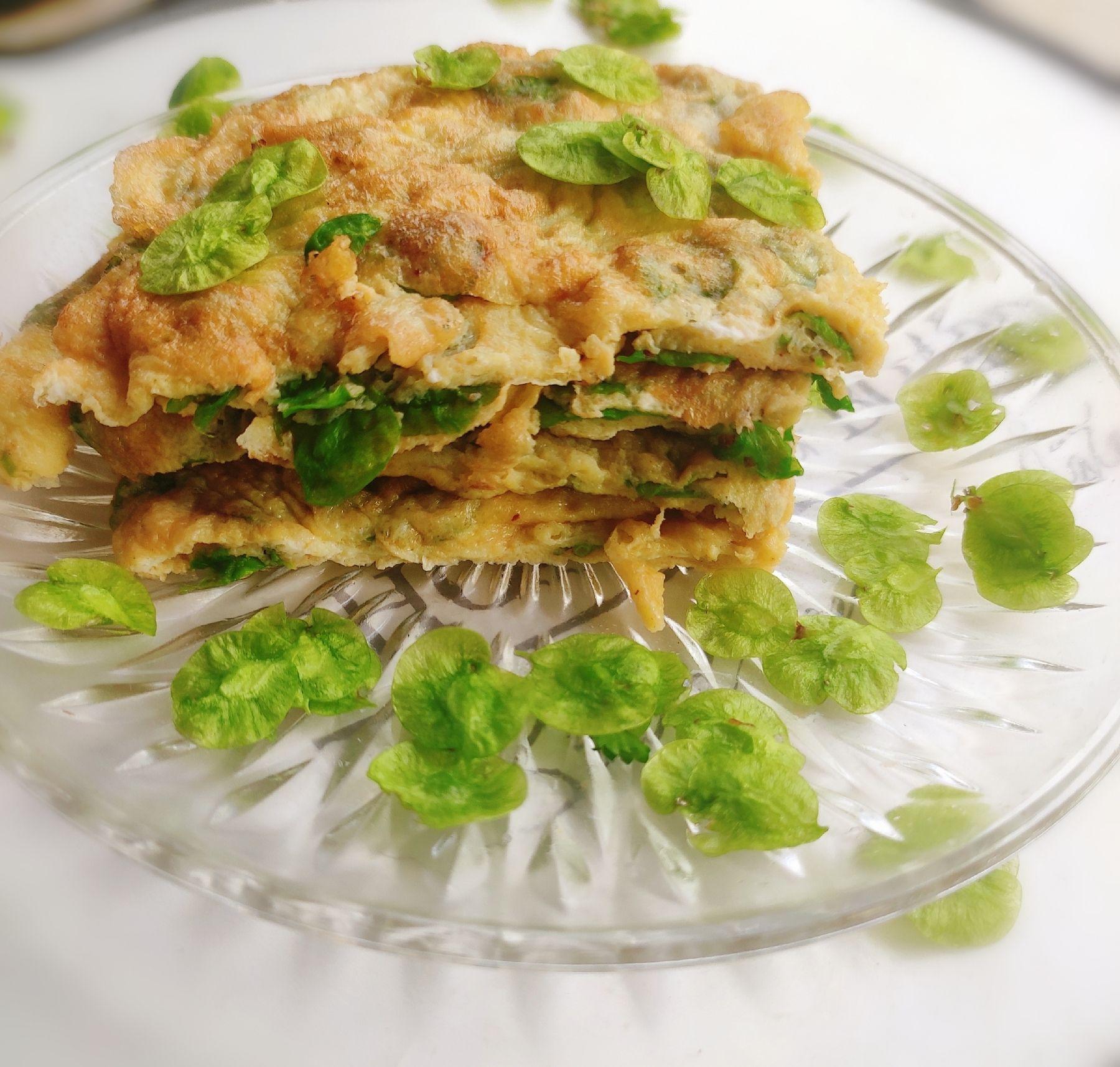 榆樹錢煎蛋的做法-咸鮮味煎菜譜