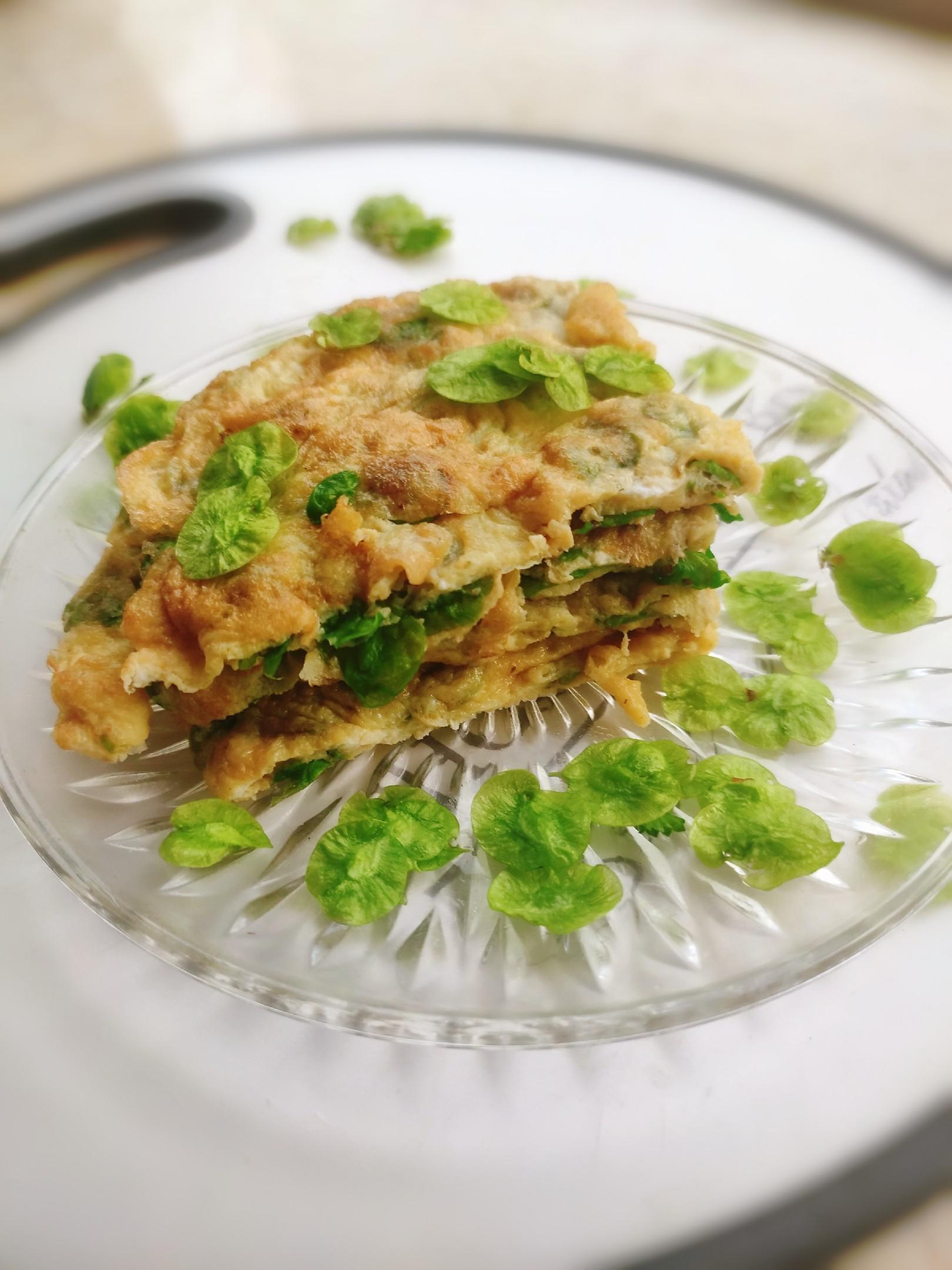 榆樹錢煎蛋的做法-咸鮮味煎菜譜