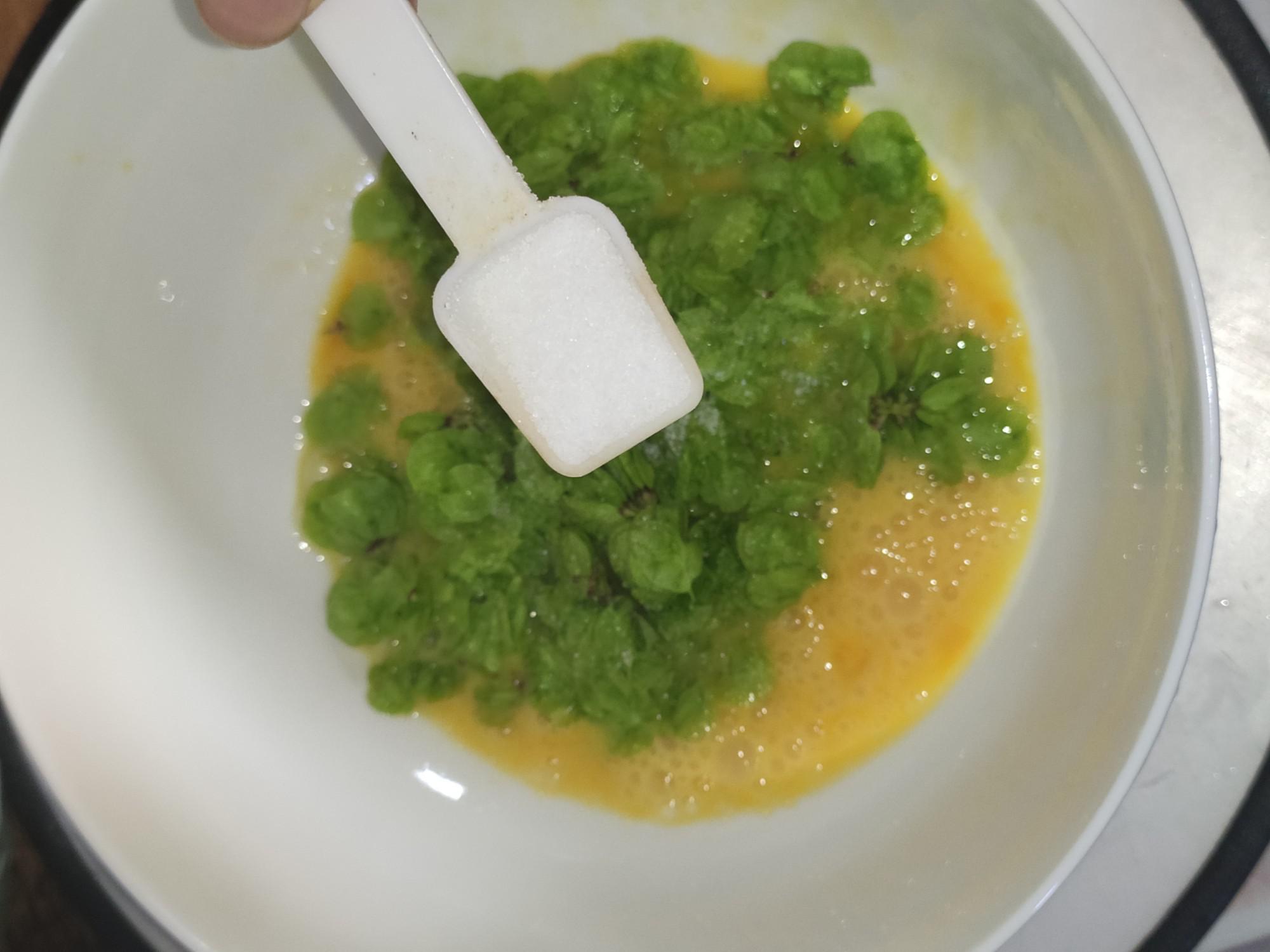 榆樹錢煎蛋的做法-咸鮮味煎菜譜