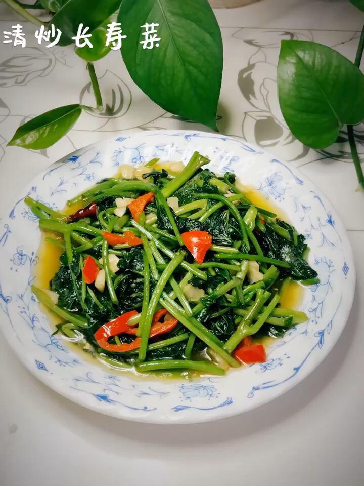 清炒長壽菜的做法-家常味炒菜譜