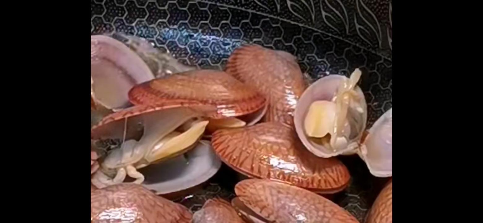 炒花甲的做法-咸鮮味炒菜譜