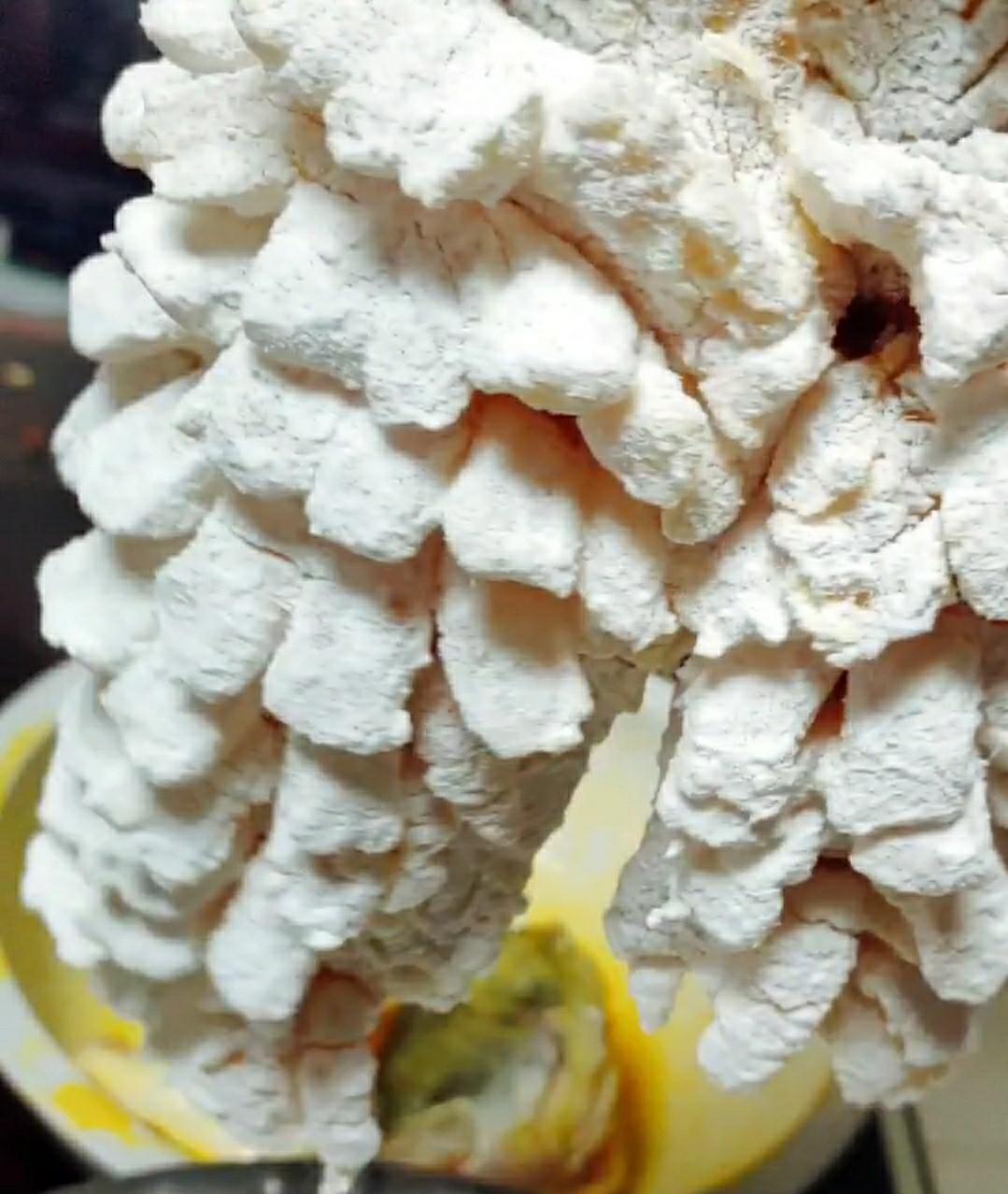 松鼠鱖魚的做法-酸甜味炸菜譜