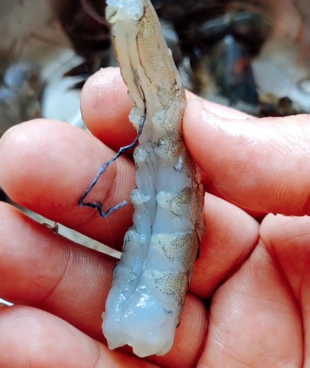 荔枝蝦球的做法-芥末味炸菜譜