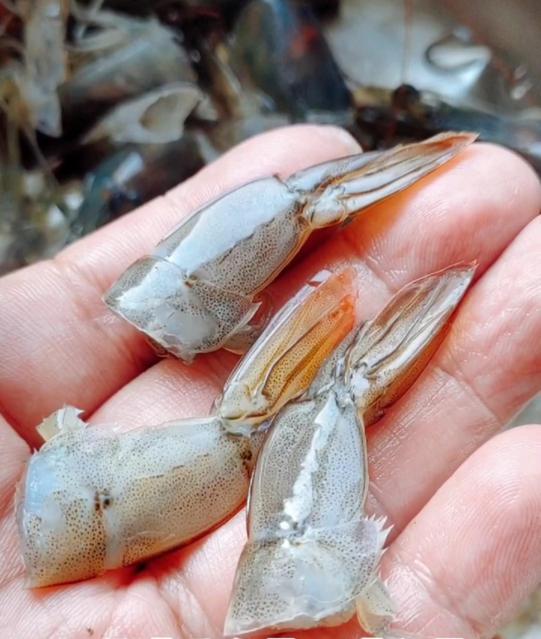 荔枝蝦球的做法-芥末味炸菜譜