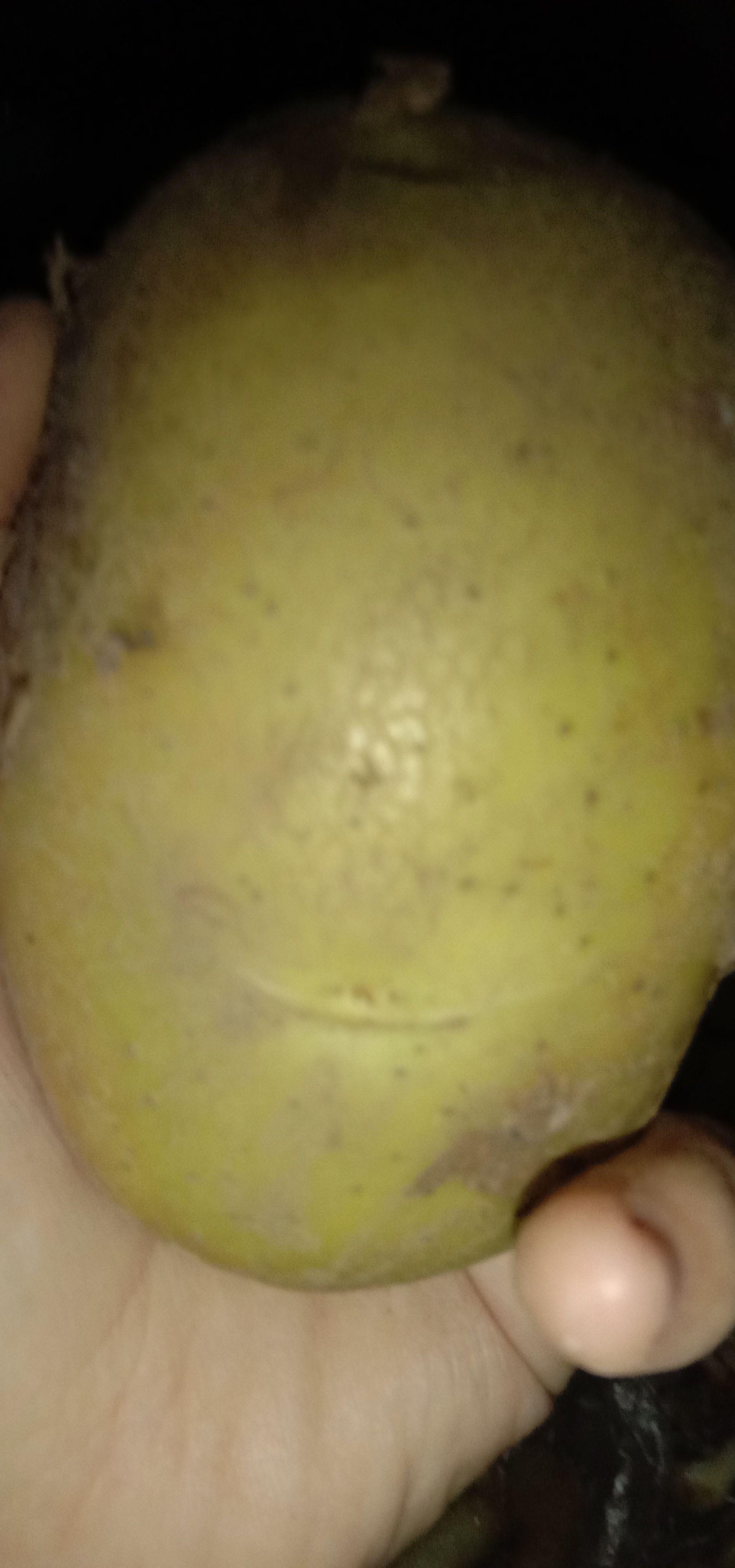 臘腸土豆絲的做法-家常味炒菜譜