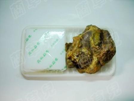 牛肉燒涼粉的做法-家常味燒菜譜