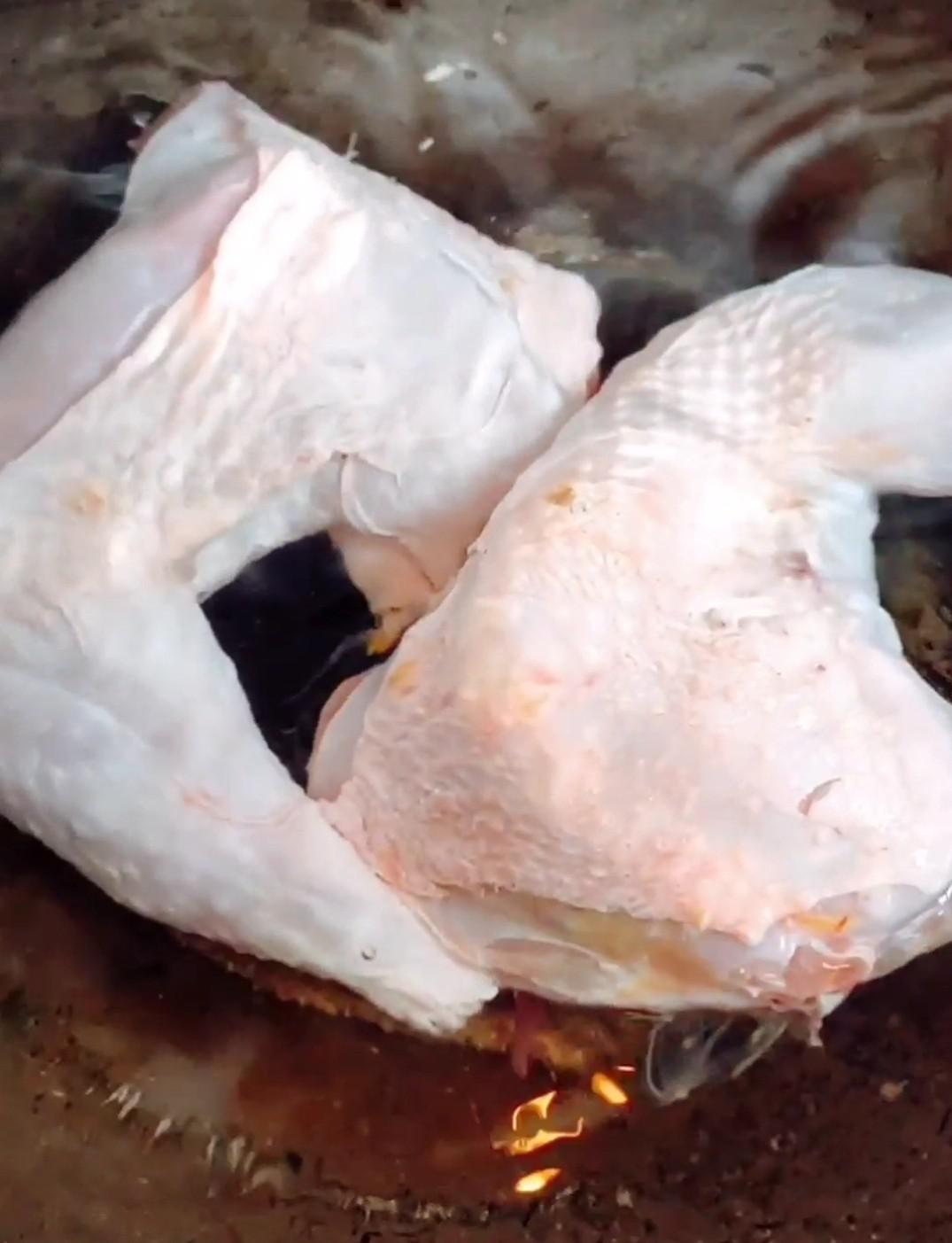 #貼秋膘#口水雞的做法-酸辣味拌菜譜