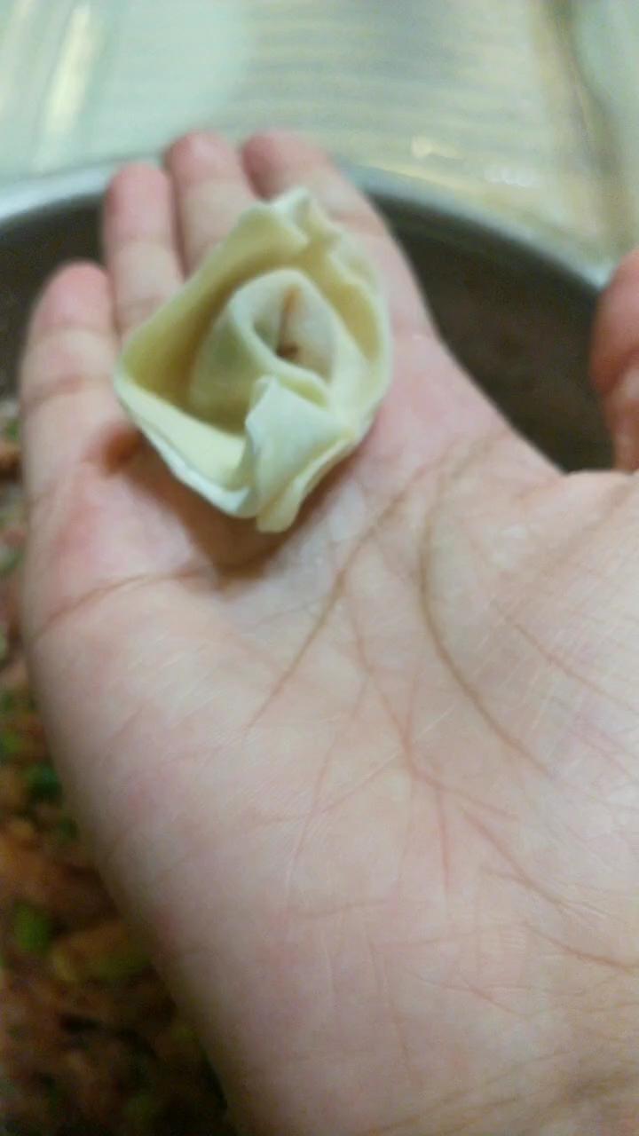 簡單好吃的肉餡的做法-咸鮮味其它工藝菜譜