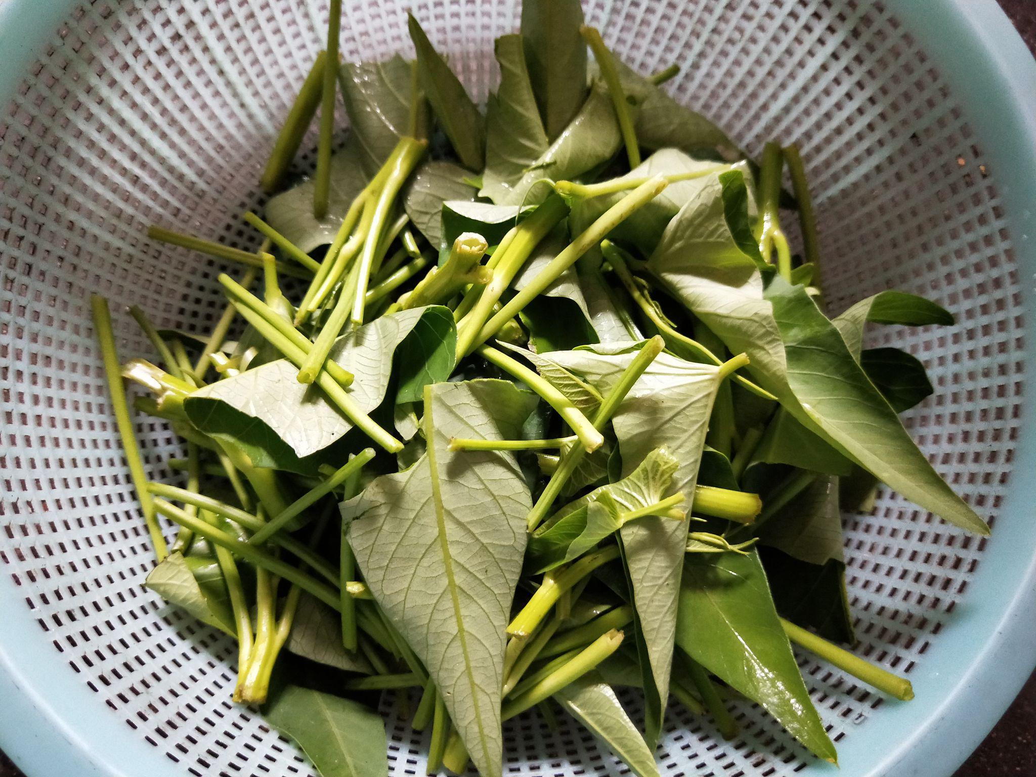 清炒空心菜的做法-家常味炒菜譜