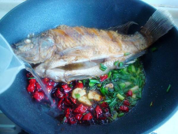 干燒羅非魚的做法-咸鮮味燒菜譜