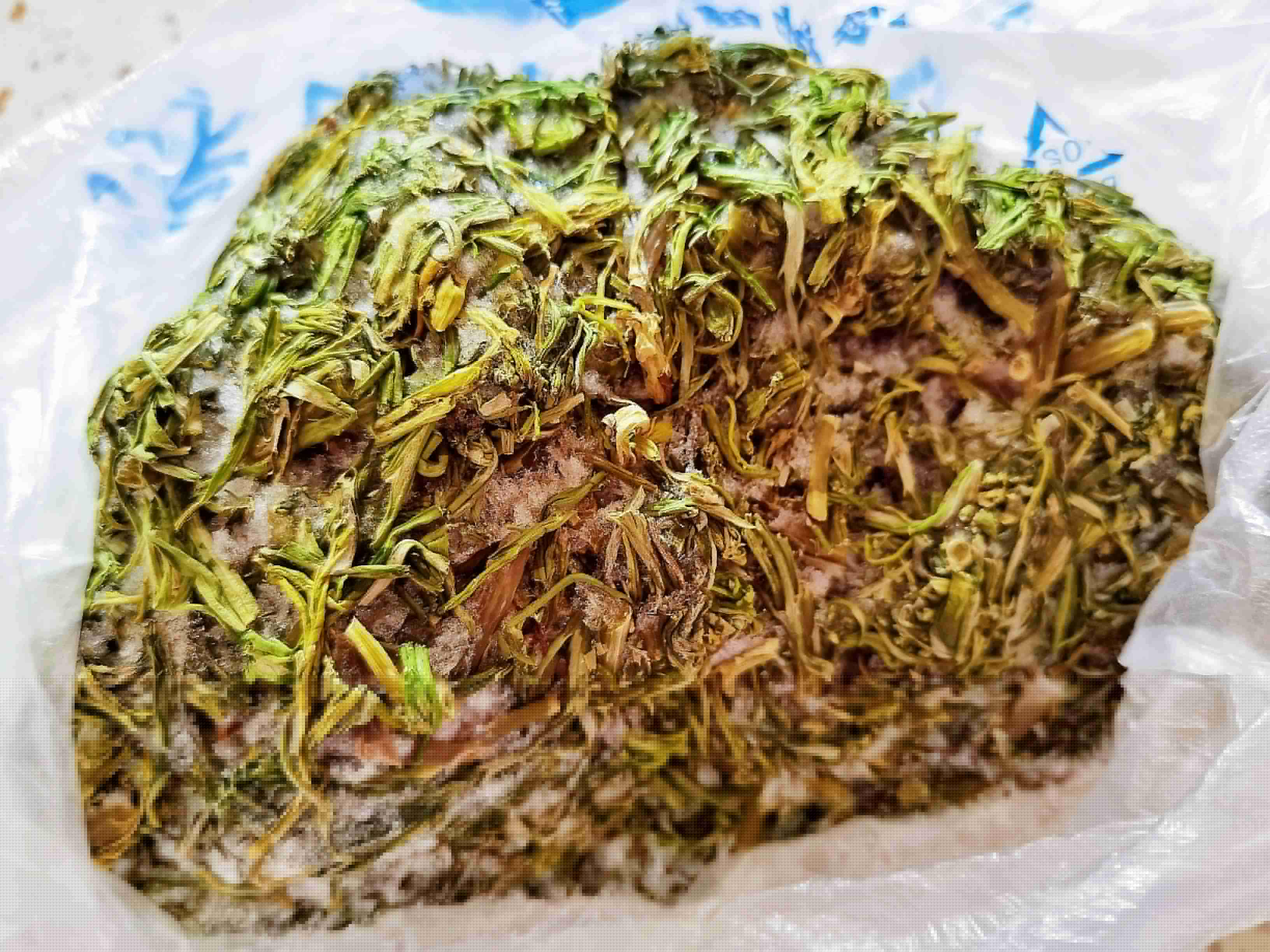 東北內(nèi)蒙特色家常美食－蕓豆柳蒿芽，春天囤地野菜秋冬來解饞的做法-苦香味煮菜譜