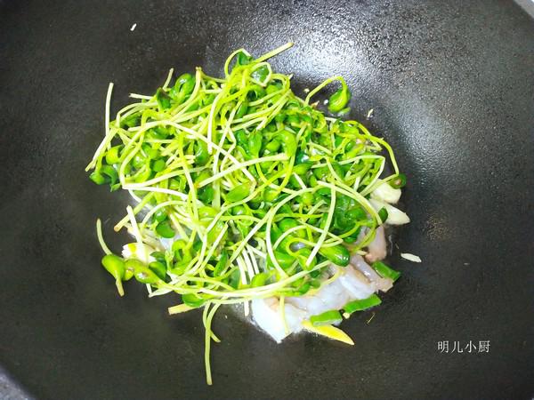 蝦仁炒豆苗的做法-家常味炒菜譜