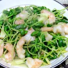 蝦仁炒豆苗的做法-家常味炒菜譜