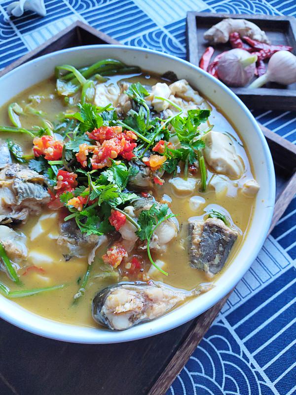 鯰魚燒豆腐的做法-咸鮮味燒菜譜-易網(wǎng)健康養(yǎng)生網(wǎng) 鯰魚燒豆腐的做法-咸鮮味燒菜譜