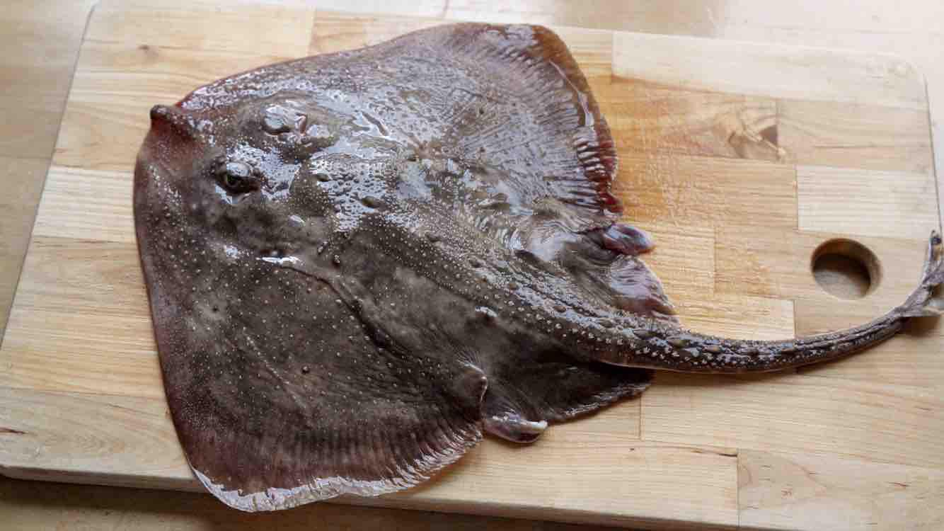 清蒸老板魚的做法-家常味蒸菜譜