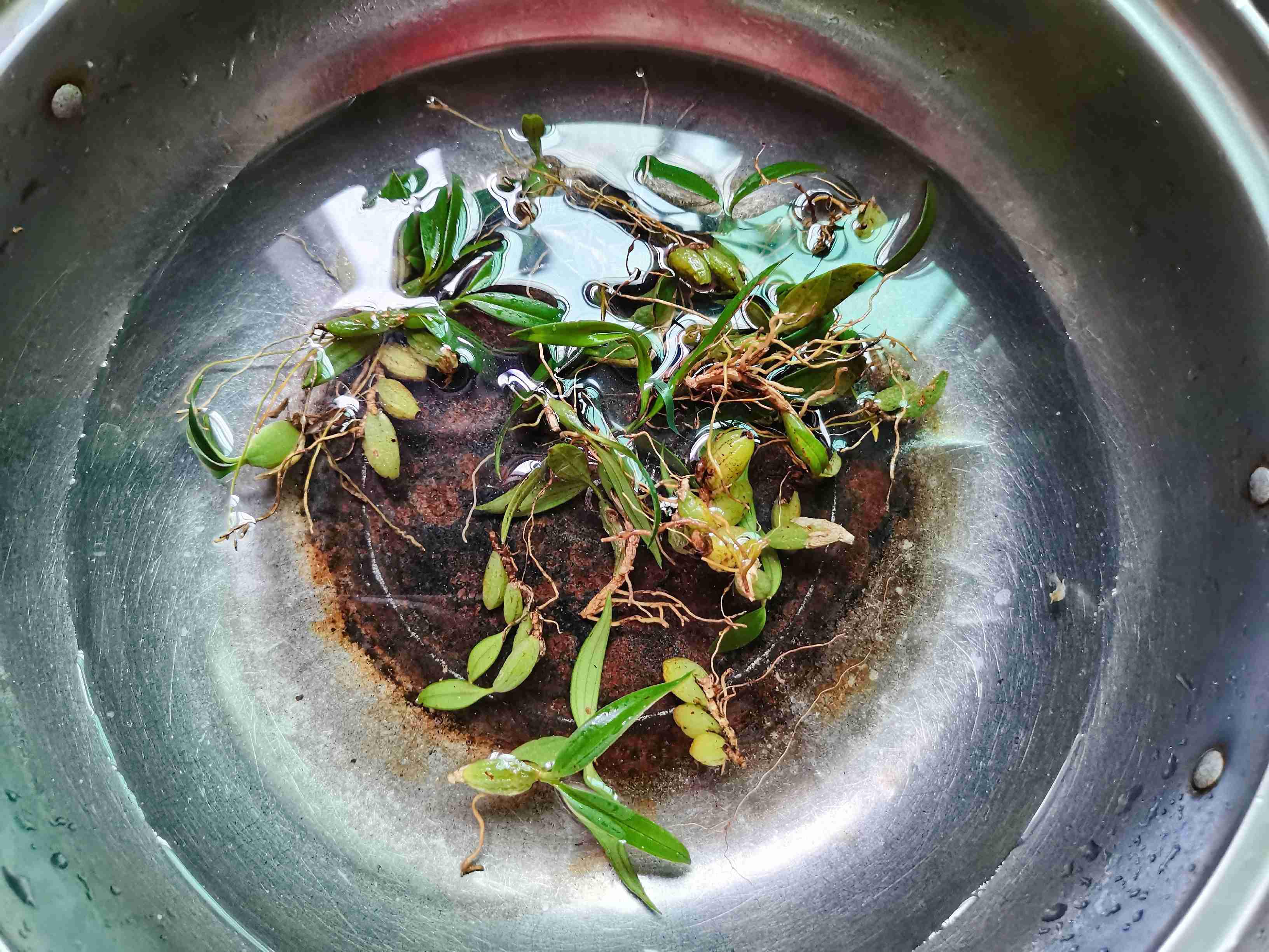 石橄欖燉肉的做法-家常味燉菜譜