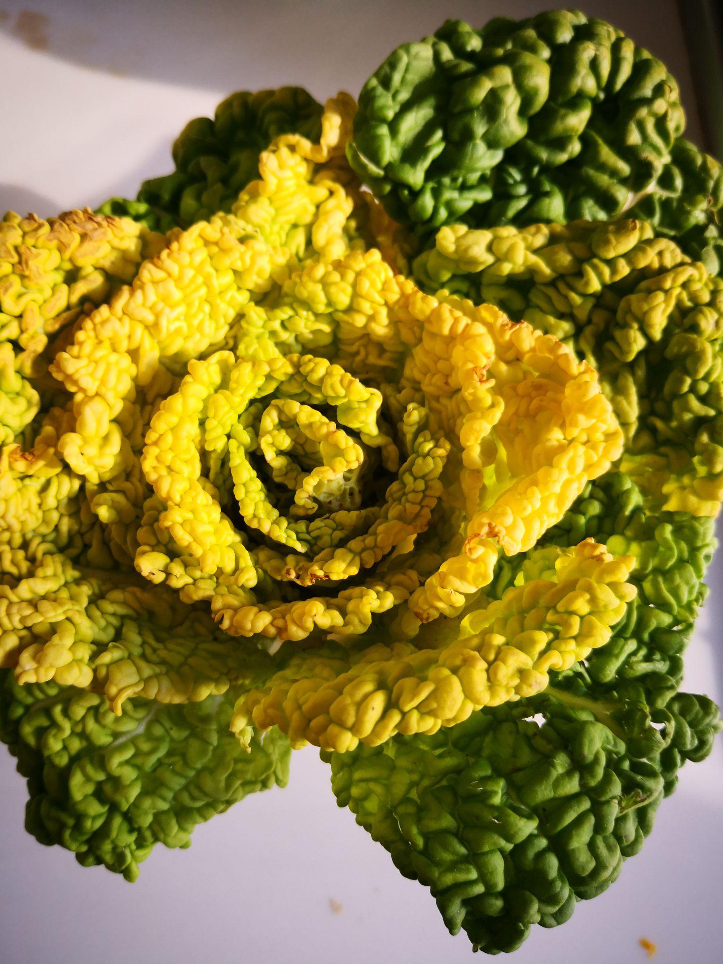 菊花菜炒香菇的做法-家常味炒菜譜