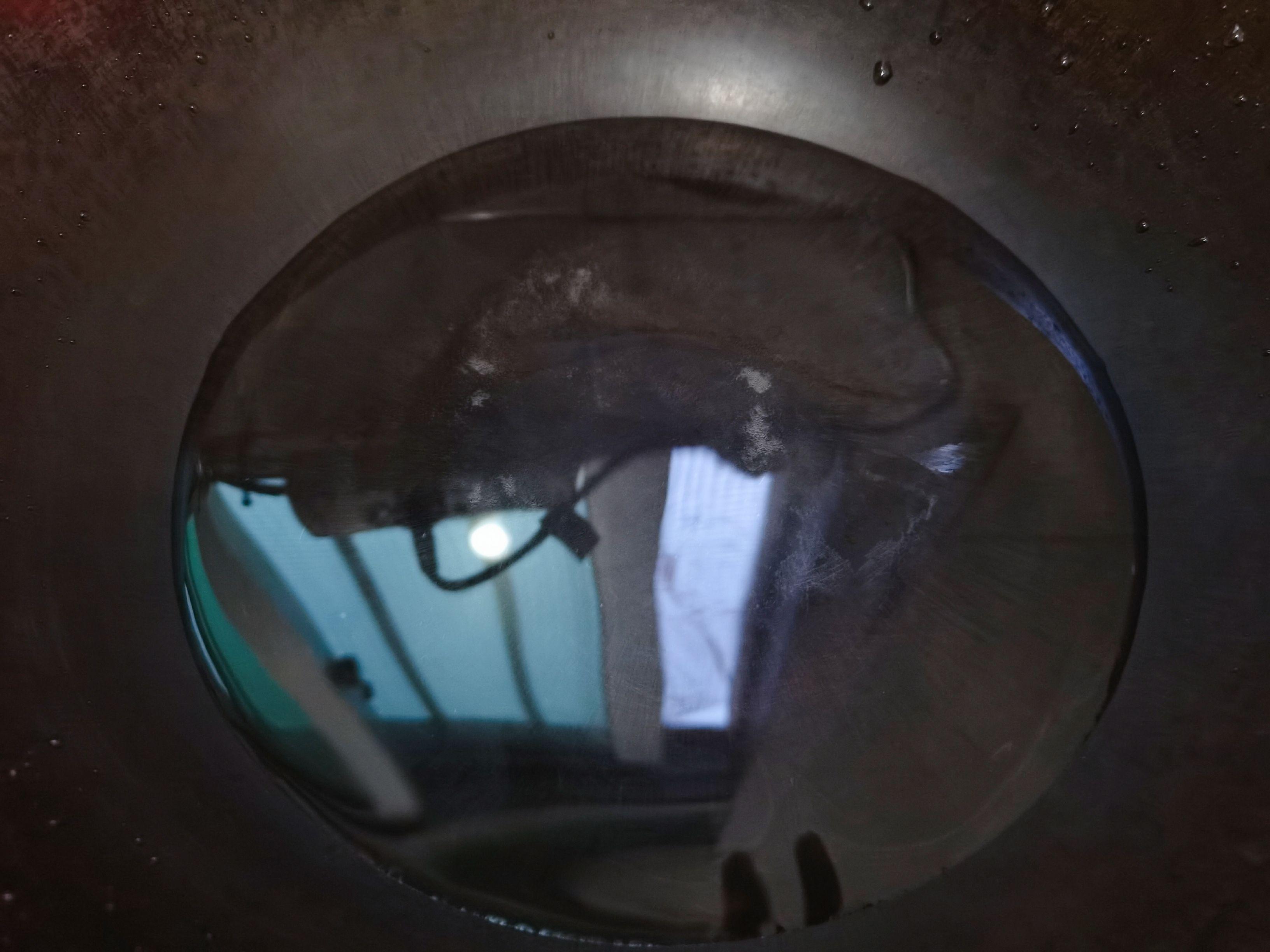 蔥香口蘑的做法-家常味炒菜譜