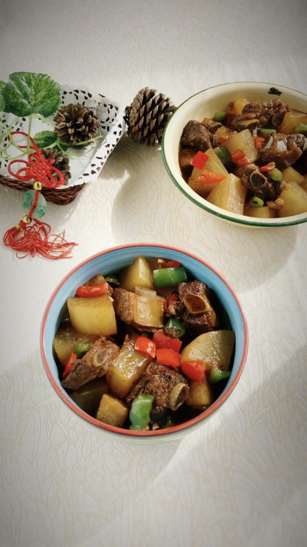 蘿卜燒排骨的做法-家常味燒菜譜