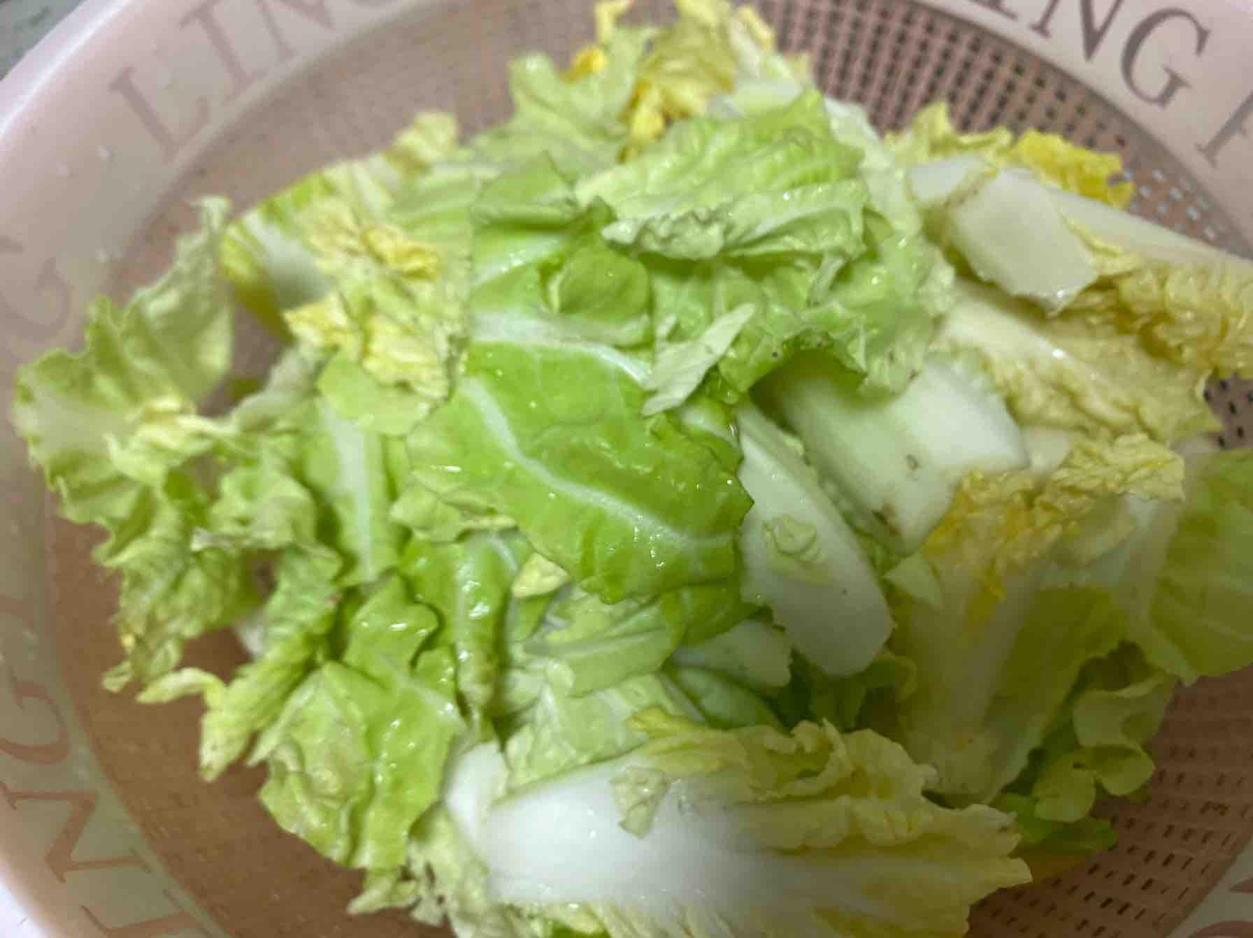 大白菜粉絲的做法-家常味燒菜譜