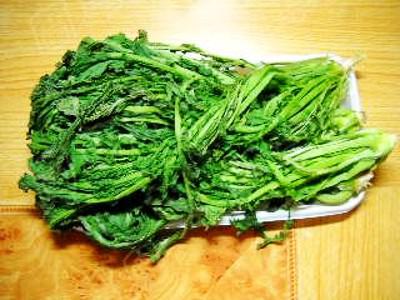 剁椒肉末雪菜的做法-家常味炒菜譜