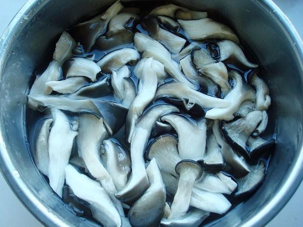 電飯煲燉魚頭的做法-麻辣味燉菜譜-易網(wǎng)健康養(yǎng)生網(wǎng) 電飯煲燉魚頭的做法-麻辣味燉菜譜