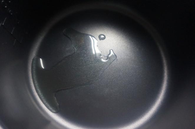 肉質(zhì)酥嫩的秘訣在此，快手家常菜——酥嫩小炒肉的做法-咸鮮味炒菜譜