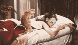  變美這幾招：“睡個美容覺”的秘密你知多少 