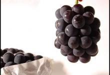 長期熬夜皮膚差到家 用這些水果補一補