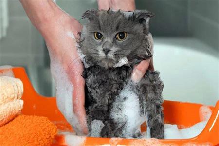 七個護膚小常識，重新定義你和護膚的親密關(guān)系