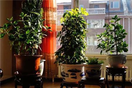 精心做好護膚護理工作，五大步驟讓你擁有美顏效果皮膚