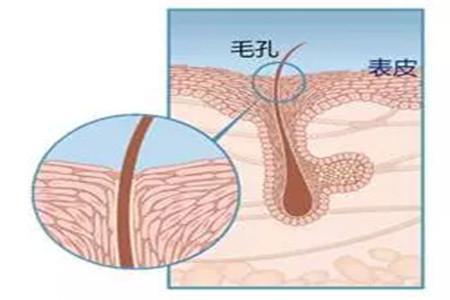 毛孔粗大如何清潔 改善膚質必備的幾個護膚小知識