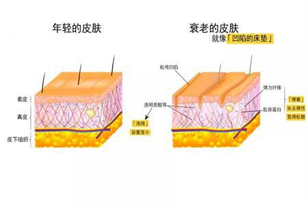 抗衰老最好的方法，抗衰老用哪個護膚品好？