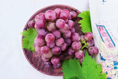 葡萄的功效與作用,女性吃葡萄也需要看葡萄的品種-易網<a href=http://m.henggaotouzi.com/ target=_blank class=infotextkey>健康養生</a>網 葡萄的功效與作用,女性吃葡萄也需要看葡萄的品種