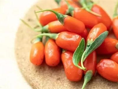 枸杞的功效與作用，女人一天一杯枸杞水好處多多