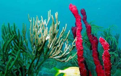 防曬噴霧可以上高鐵嗎?防曬噴霧對皮膚有害嗎?